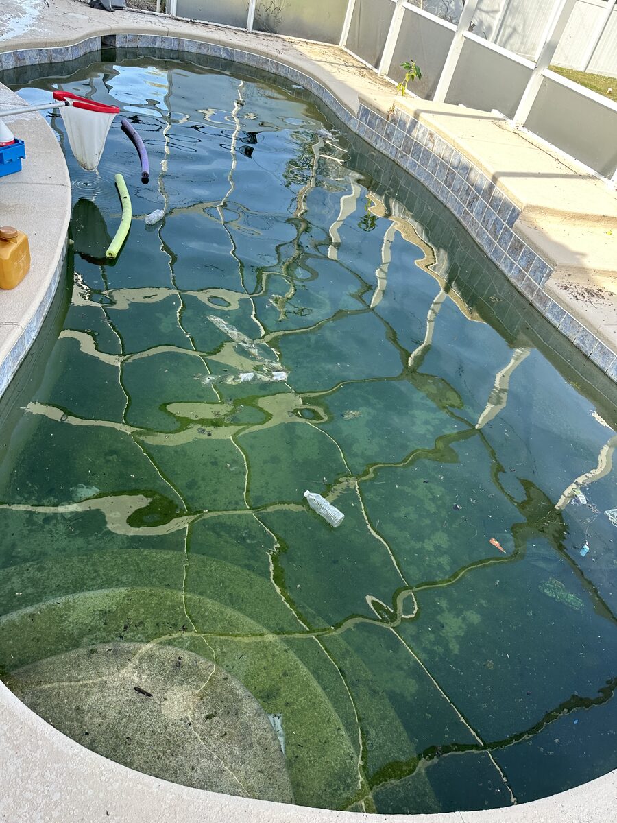 Second pool with green algae buildup before treatment