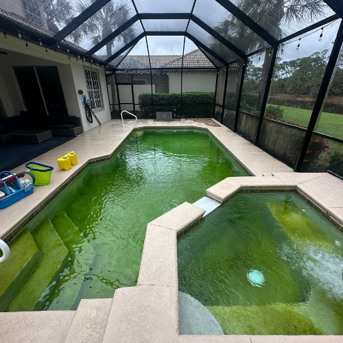 Pool filled with green algae before Platinum Pools treatment