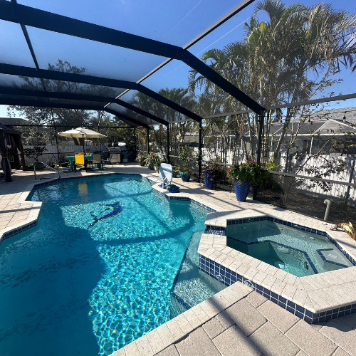 Curved freeform pool with attached spa under a screen enclosure